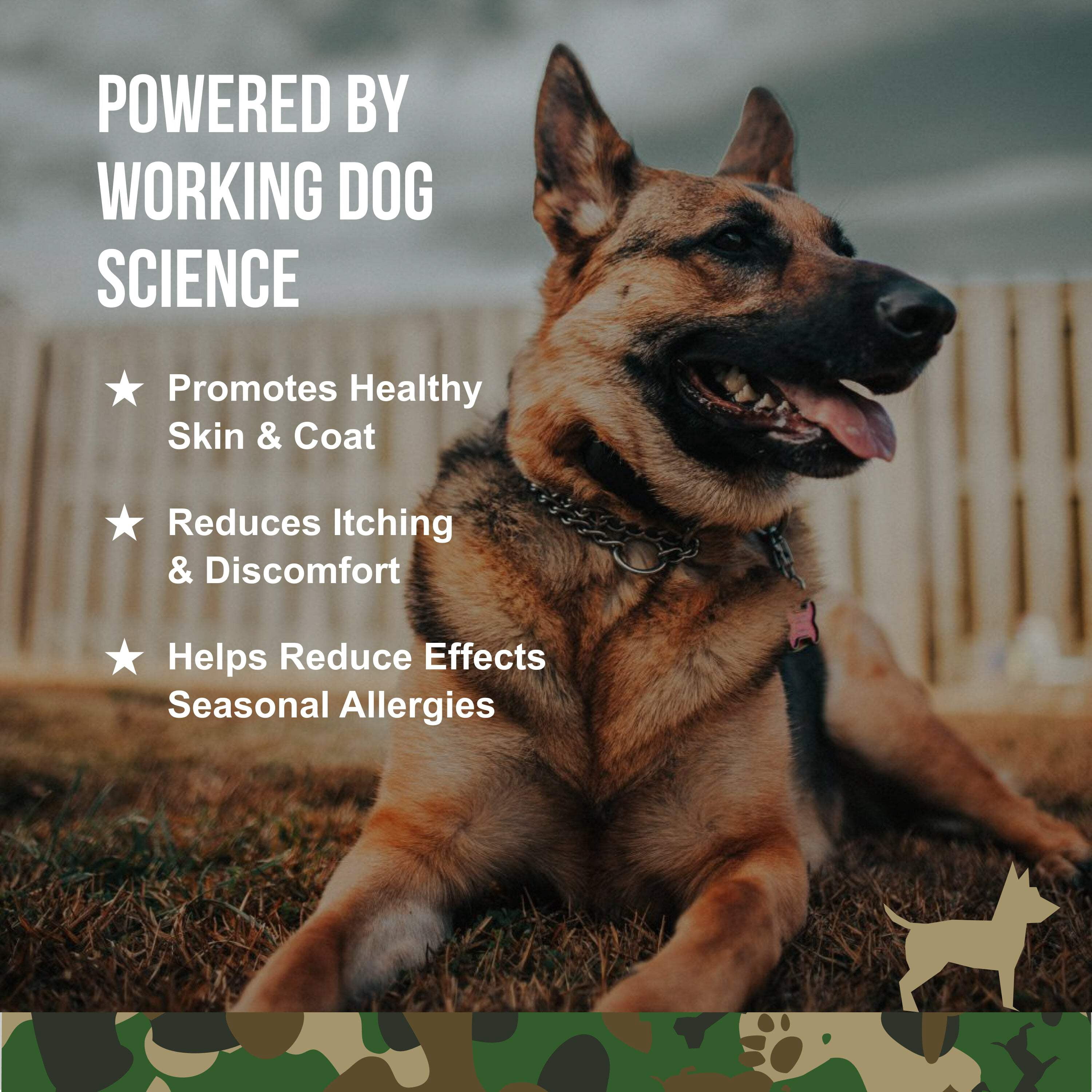 Operation Good Boy SRE: Supplement for Seasonal Allergy & Skin Health for Dogs, Peanut Butter Flavor, Ready to Eat, 90 Soft Chews