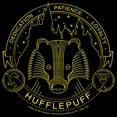 thumbnail image 2 of Men's Harry Potter Hufflepuff House Emblem  Pull Over Hoodie Black Small, 2 of 4