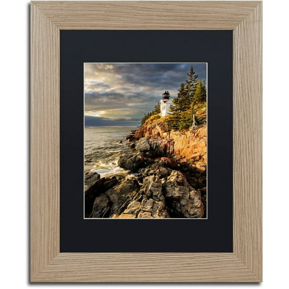 Trademark Fine Art "On the Bluff" Canvas Art by Michael Blanchette Photography Black Matte, Birch Frame