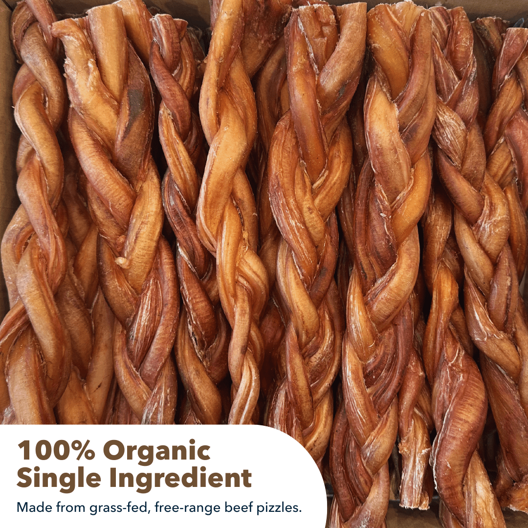 12" Monster Braided Bully Sticks Display Box (10 ct) with Individual UPC Tags - 100% All Natural Beef