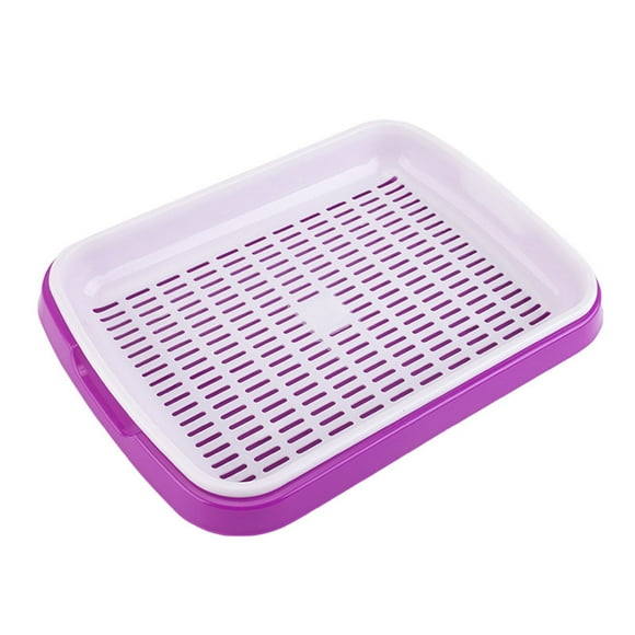 taicans 1Pcs Seed Sprouter Tray,Garden Seed Sprouter Tray BPA Free PP Soil-Free Healthy Wheatgrass Grower,Microgreens Growing Trays Nursery Tray Seed Germination Tray Wheatgrass Cat Grass Tray-Purple