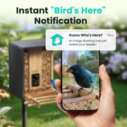 Birdfy Bird Feeder with Camera, Auto Capture Birds & Notify in Time, Powerful AI Recognition, Bamboo Wood Bird Feeder Camera, Ideal Present Gift