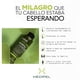 thumbnail image 5 of MEDIPEL Shampoo Anticaida Ingredientes Naturales Ayuda a Reducir la Ca&iacute;da del Cabello | 1 Litro, 5 of 6