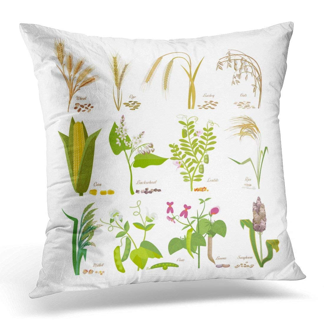 ARHOME Cereals and Legumes Grain Plants with Leaves Flowers Seeds Wheat Rye Barley Oats Corn