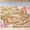 S2, variant on Happy Birthday Backdrop for Women Rustic Wooden Butterfly Happy Birthday Banner Decorations Glitter Lights Pink Floral Party Decoration Background for 20th 30th Women Girl 7X5ft(84x60 inch)