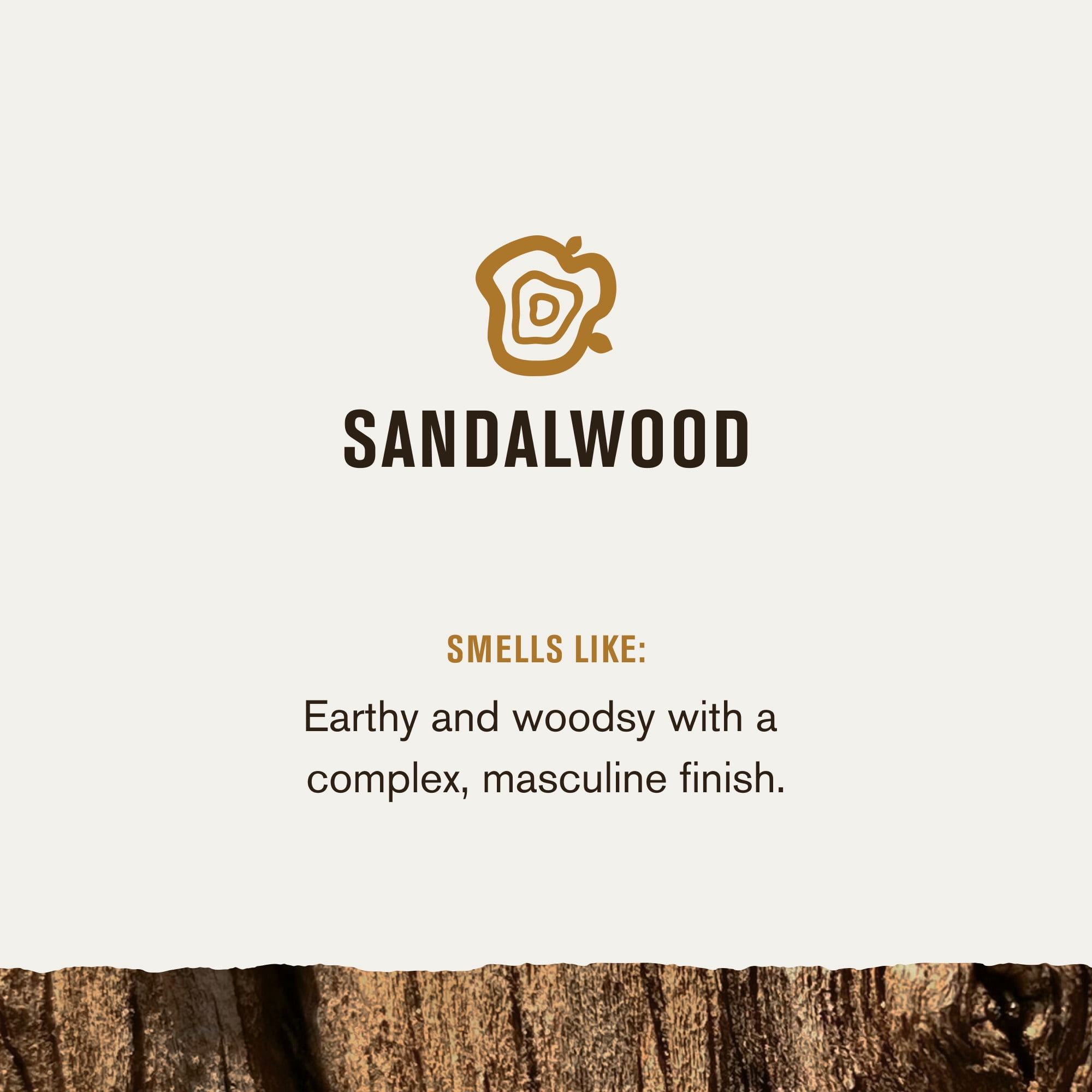 (2 pack) Every Man Jack Sandalwood Beard Kit Gift Set for Men, Face Wash, Beard Butter, Beard Oil & Comb