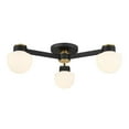 thumbnail image 3 of Ceiling Light in Matte Black with Natural Brass, 3 of 7