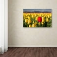 thumbnail image 3 of Trademark Fine Art "Red Tulip" Canvas Art by Pierre Leclerc, 3 of 3