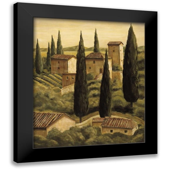 Moretti, Maurizio 12x14 Black Modern Framed Museum Art Print Titled - Tuscan Hillside II