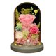 thumbnail image 1 of Decoración de flores eternas con cubierta de cristal rosa con luz, regalos de cumpleaños, regalos festivos para familiares y amigos, 1 of 5