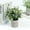 TYPE5, variant on Efavormart 2 Pack | Potted Artificial Boxwood Topiary, Faux Plants Greenery in Gray Planter Pots - 5"