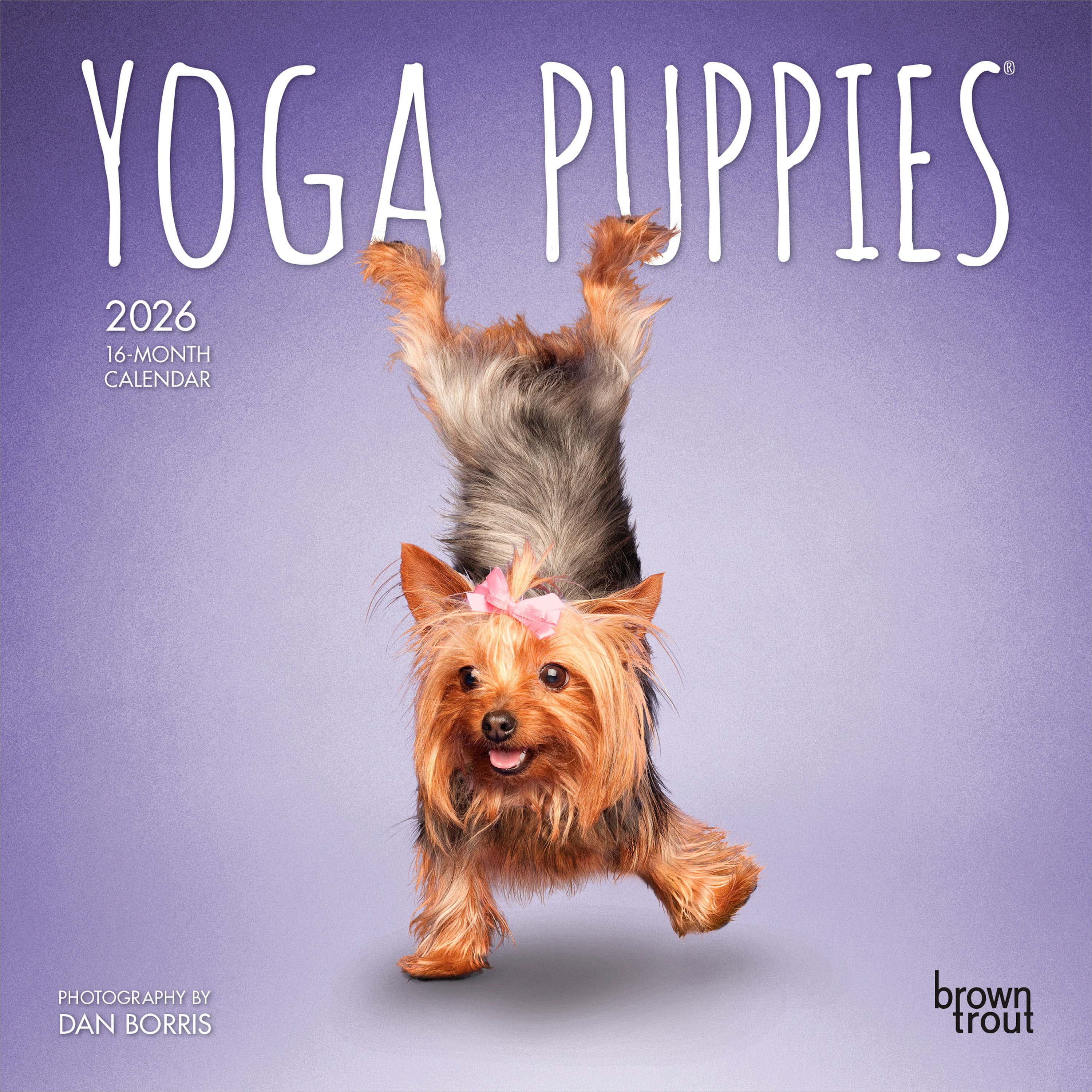 Yoga Puppies 2026 Mini 7x7