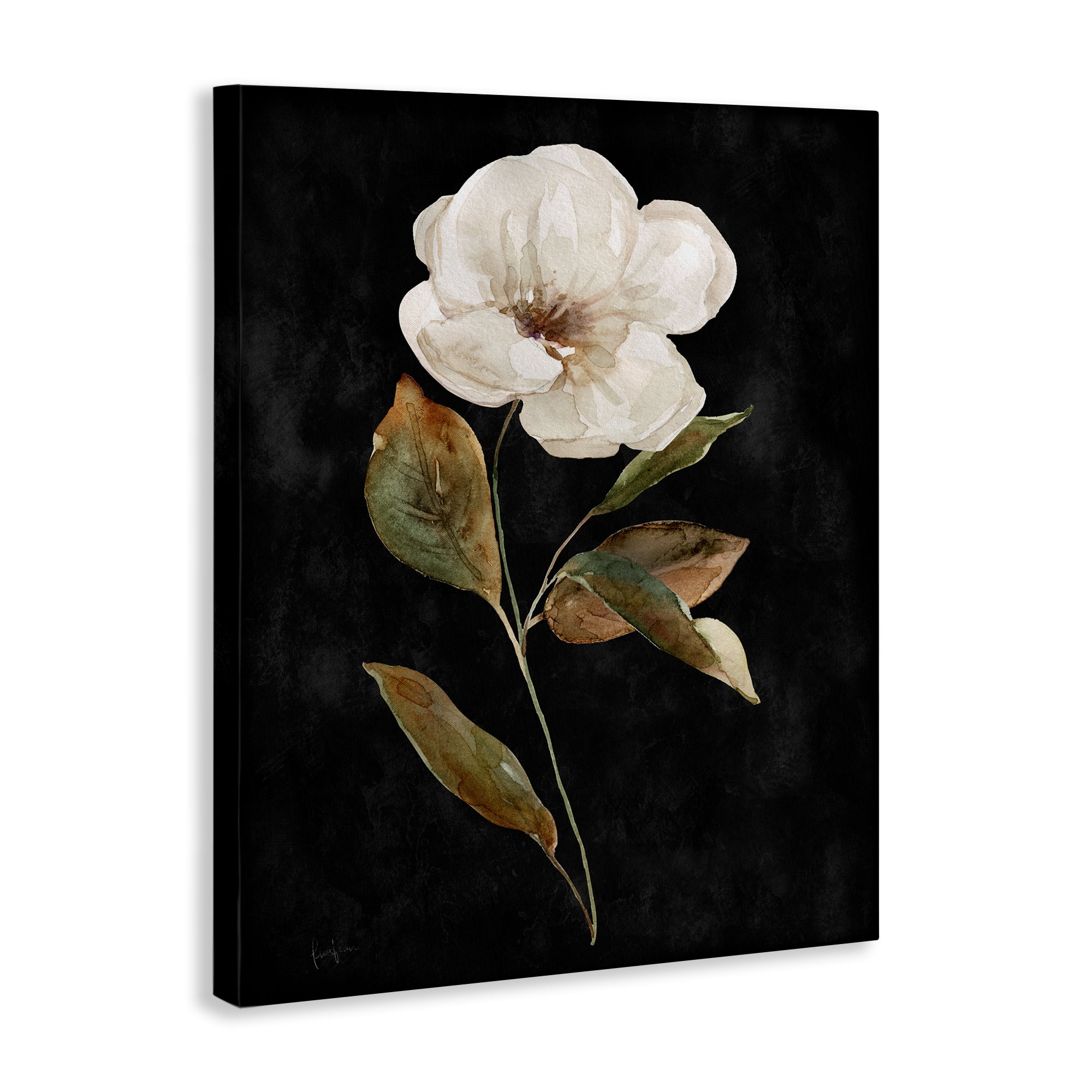 Stupell Industries White Bloom on Black Plants & Flowers Painting Wrapped Canvas Art Print Wall Art, 16 x 20