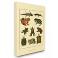thumbnail image 2 of The Stupell Home Decor Collection Frog And Newt And Turtle Illustrations Wall Art, 2 of 5