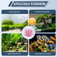 thumbnail image 7 of BESTSKY Turtle Tank Accessories,PVC Fish Tank Decor,Artificial Coral Aquarium Plants,Landscaping Decorations Aquarium Accessories,Pink, 7 of 7