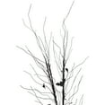 thumbnail image 3 of Northlight Pre-Lit Halloween Branch Tree with Bats - 50" - Black - LED Warm White, 3 of 6