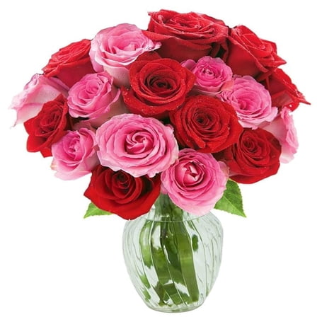 KaBloom : 12 Red Roses, 12 Pink Roses, 3 Greens in Vase, Next-Day Delivery, Gift for Every Occasion.