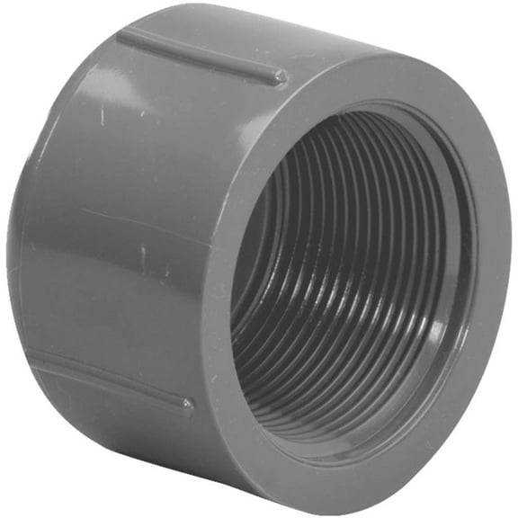 Cap 1/2 Sch80 Pvc 1/2 Fip