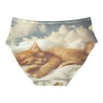 thumbnail image 2 of Women's Underwear Orange Cat Sleeping on Clouds Hipster Panties Underwear for women, Large, 2 of 9