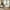 Beige, variant on DONICK 2-Piece Modern Velvet Upholstered Living Room Set