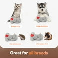 thumbnail image 5 of All For Paws Heartbeat Cat Plush Toy with Heat Pack, Kitty Sleep Aid & Anxiety Relief Snuggling Toy, Gray Kitty, 5 of 7
