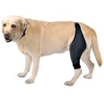 thumbnail image 1 of Dog Knee Brace For Knee Cap Dislocation, Arthritis,reduces Pain And Inflammation, 1 of 3