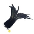 thumbnail image 1 of Cateissary Wholesale Quality Beautiful 10PCS Dyeing Feathers Tail Type3 NO3, 1 of 2