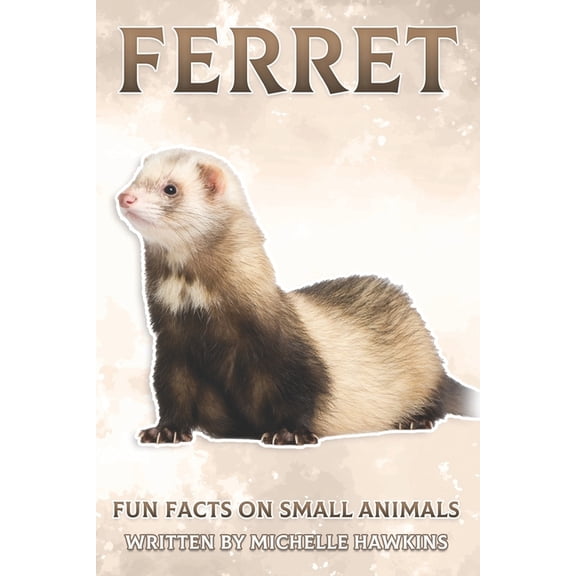 Fun Facts on Small Animals Ferret: Fun Facts on Small Animals #7, (Paperback)