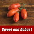 thumbnail image 6 of Mutti San Marzano Whole Peeled Tomatoes 14 oz, Can, 6 of 8