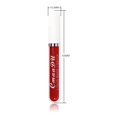 thumbnail image 3 of POINTERTECK Rouge à Lèvres 2.5ml Longue Durée Imperméable Mat Velours Liquide pour Cadeaux, 3 of 11