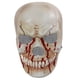 thumbnail image 1 of Cubierta facial de terror de Halloween, cubierta facial de esqueleto con cubierta facial de esqueleto aterrador, cubierta facial de esqueleto, la mejor de su clase, 1 of 9