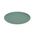 thumbnail image 5 of Mainstays - Sage Round Plastic Plate, 10.5 inch, 5 of 7
