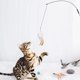 thumbnail image 4 of Pet Fit For Life Gusano Juguete y Entrenador de Gatitos - Juguetes para Gatos Varita Interactiva para Gatos Ormromra 220445-3, 4 of 8