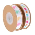 thumbnail image 1 of RUNROTOO 2 Rolls of Colourful Ribbons Multi Colored Polyester Packaging Ribbons for Family Friends Festivals, 1 of 8