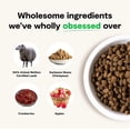 thumbnail image 3 of Open Farm Pasture-Raised Lamb Grain-Free Dry Dog Food, 4 lbs, 3 of 7