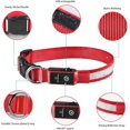 thumbnail image 4 of Collar de perro luminoso recargable e impermeable, collar de seguridad intermitente LED con cinturón ajustable para perros pequeños/medianos/grandes (rojo, L), 4 of 5