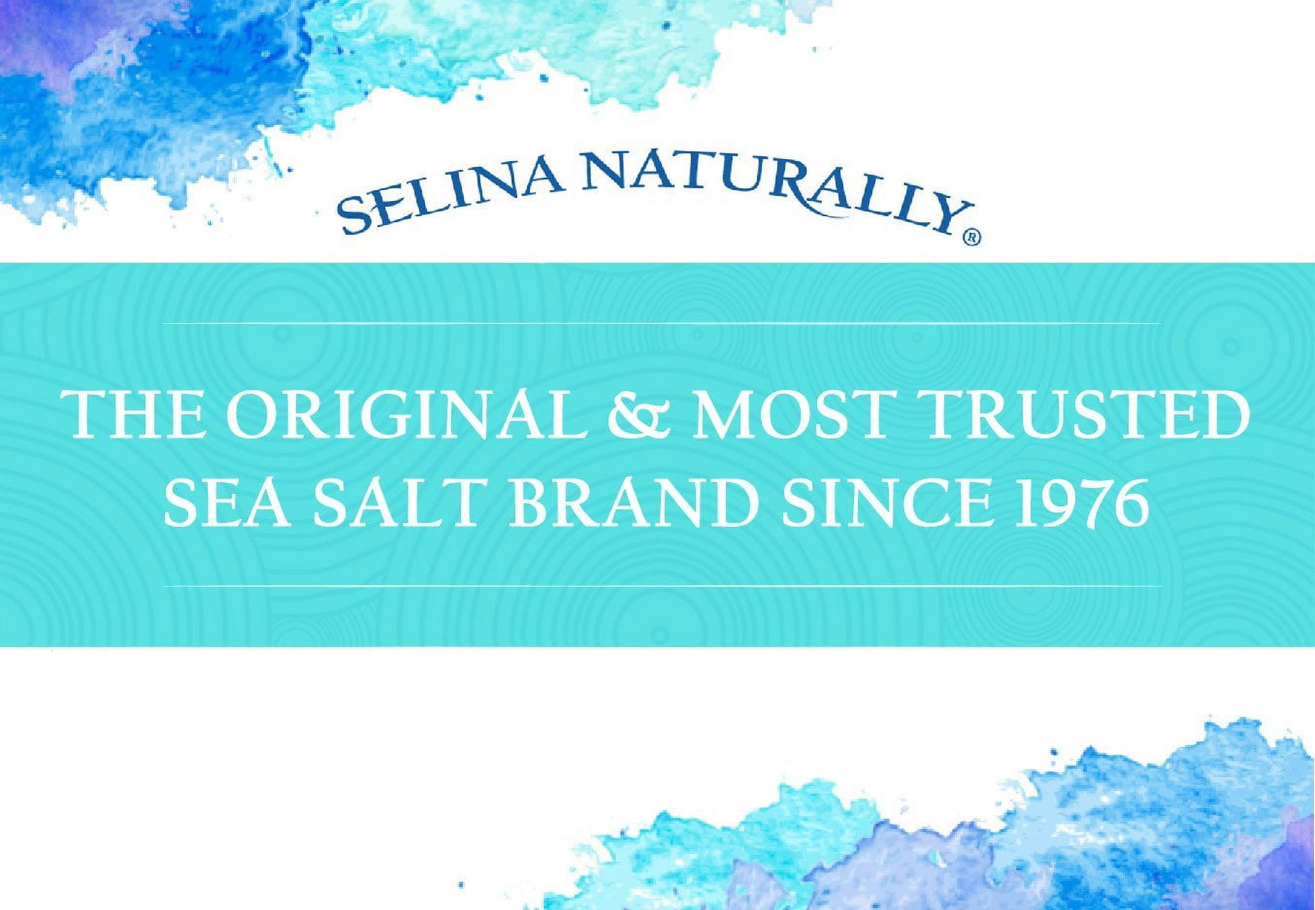 Fine Ground Celtic Sea Salt, 1/2 LB (Pack of 2) | Bundled with Stainless Steel Measuring Spoon Set | Vital Mineral Blend