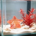 thumbnail image 5 of Cififendec 10Pcs Luminous Starfish Mini Ornament, 1", Glow In Dark Resin Aquarium Landscape Decoration for Fish Tank Bottom Layout, Underwater Scene Decor, 5 of 5