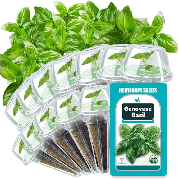 Basil Seed Pods for All Hydroponics Growing Systems, 12 Pods Herb Kit with 200  Seeds of Genovese Basil, Grow Your Own Herb Garden at Home