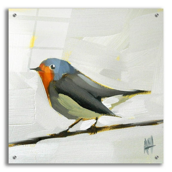 Epic Art 'Robin On Wire' by Angela Missman, Acrylic Glass Wall Art, 24"x24"