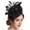 Black, variant on Giaone Lightweight Women's Fascinators Hat Breathable Feathered Hair Clip Hair Ornament Ideal For Bridal And Party Goers