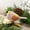 Multicolor B, variant on U.S Decorative Home Decoration Bird Figurine - Small Wood Bird Statue Art Handmade Carving Decoration Miniature Animals, Multicolor, One Size