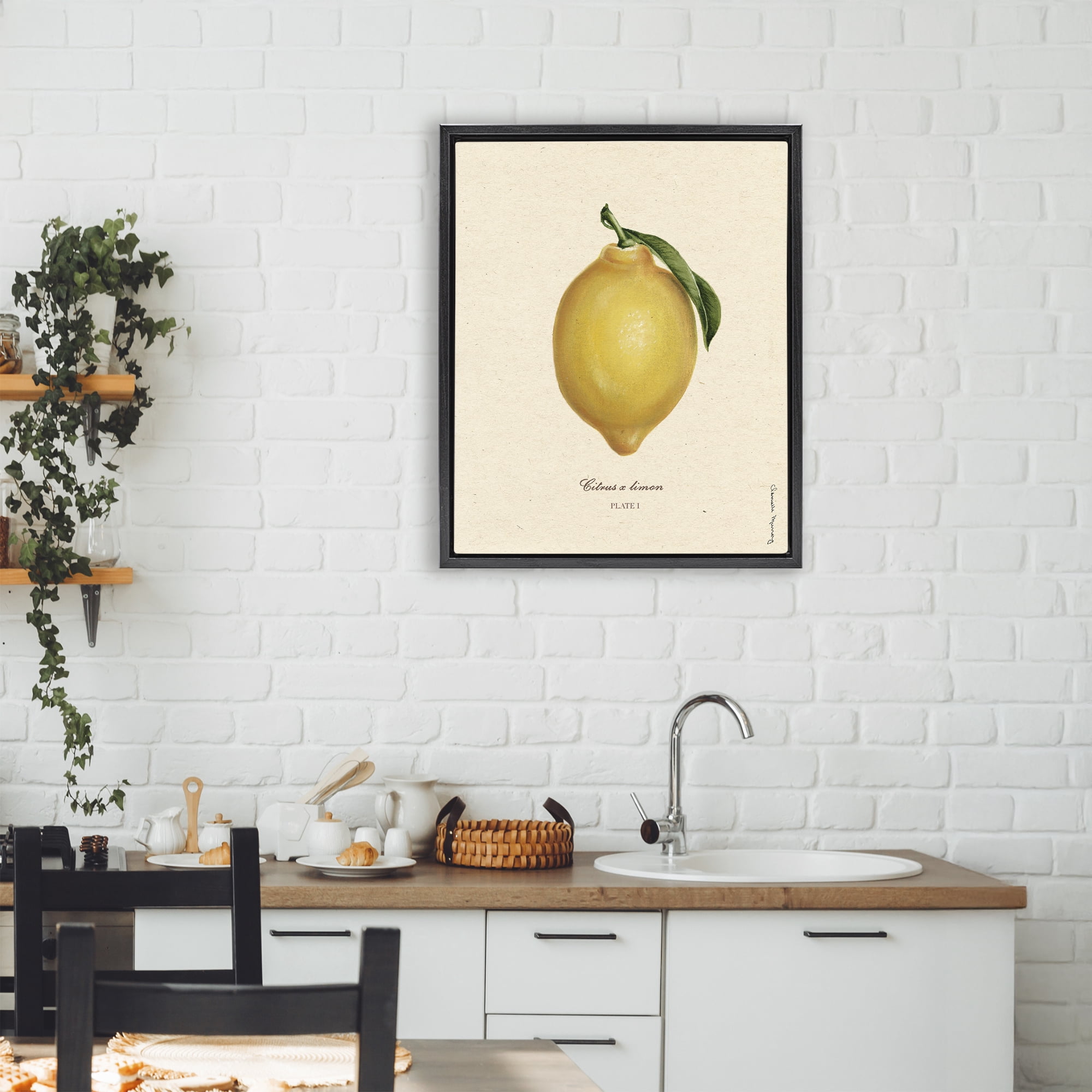 Stupell Industries Lemon Fruit Portrait Black Framed Floater Canvas Wall Art, design by Danielle Murray