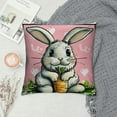 thumbnail image 2 of Nawypu Easter Pillow Covers Rabbit Bunny Carrot Pink Pillow Covers Peep Gnomes Easter Throw Pillow Covers Black and White Happy Spring Indoor Home Decoration for Sofa Couch Bed, 2 of 5