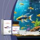 thumbnail image 1 of Kojanyu 2025: nuevo estabilizador de calidad del agua,tratamiento para acuarios y peceras domésticos para un agua limpia y equilibrada., 1 of 9