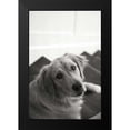 thumbnail image 2 of Millet, Karyn 11x14 Black Modern Framed Museum Art Print Titled - Goldie I, 2 of 5