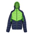 thumbnail image 1 of Regatta Mens Dalent Hooded Insulated Jacket, 1 of 5