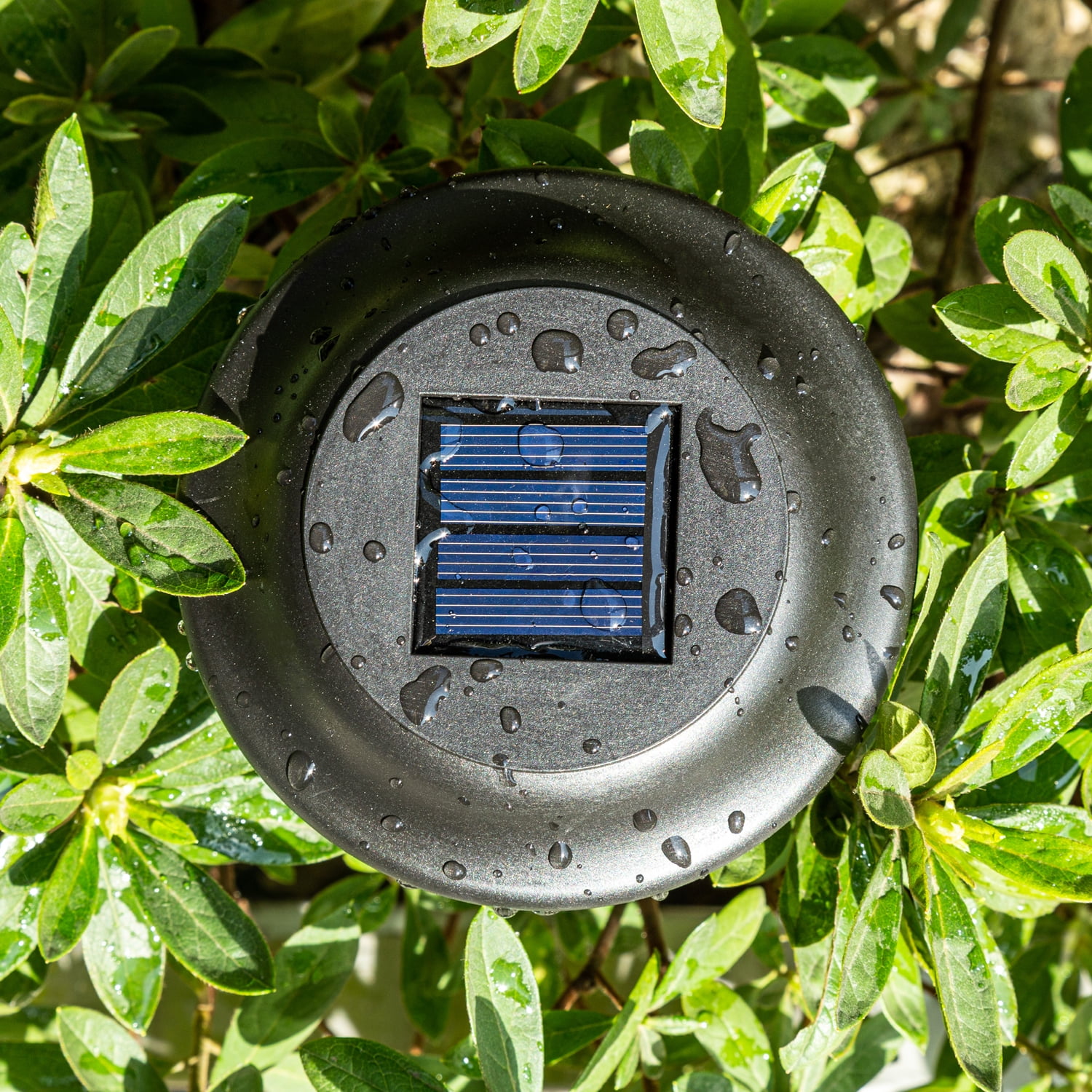 FKHouse Classic Solar Outdoor Garden Pathway LED Lights, 6 Pack