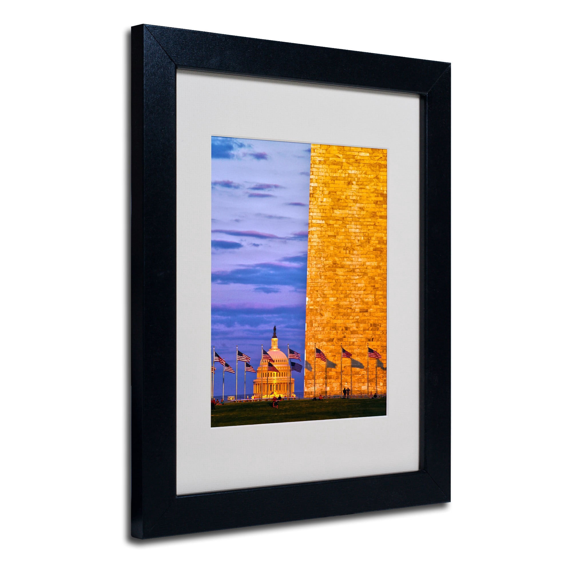 Trademark Fine Art "America" Canvas Art by CATeyes, Wood Frame