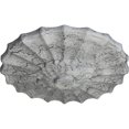 thumbnail image 4 of Ekena Millwork CM09SHUWC Ceiling Medallion, Ultra Pure White Crackle, 4 of 4